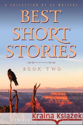 Best Short Stories Book Two Pat Fogarty 9781950105014 AZ Writers - książka
