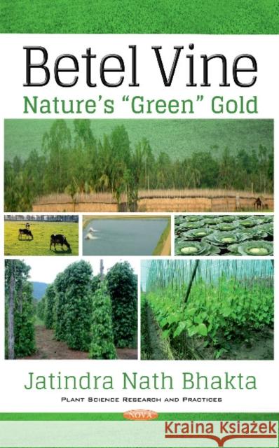 Betel Vine: Natures Green Gold Jatindra Nath Bhakta 9781536119411 Nova Science Publishers Inc - książka