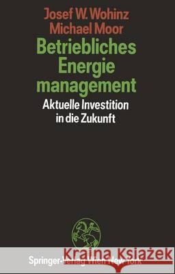 Betriebliches Energiemanagement: Aktuelle Investition in Die Zukunft Wohinz, Josef W. 9783709190395 Springer - książka