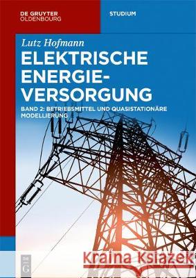 Betriebsmittel und quasistationäre Modellierung No Contributor 9783110548563 De Gruyter (JL) - książka