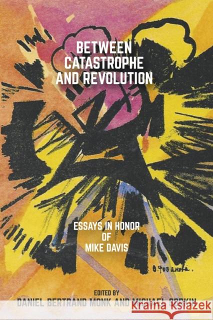 Between Catastrophe and Revolution: Essays in Honor of Mike Davis Daniel Bertrand Monk Michael Sorkin 9781682192771 OR Books - książka