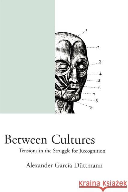 Between Cultures: Tensions in the Struggle for Recognition Alexander Garcia Duttmann Kenneth B. Woodgate 9781859842737 Verso - książka