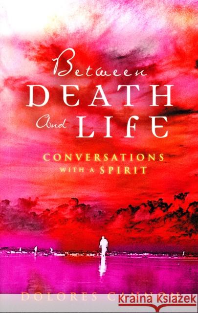 Between Death and Life: Conversations with a Spirit Dolores Cannon 9780717136223 Gill - książka