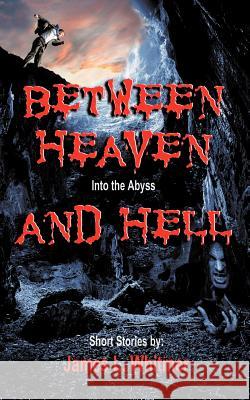 Between Heaven and Hell: Into the Abyss Whitmer, James L. 9781475958454 iUniverse.com - książka