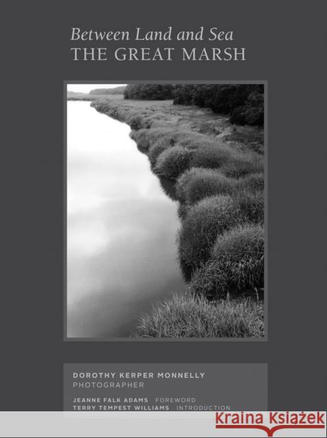 Between Land and Sea: The Great Marsh: Photographs by Dorothy Kerper Monnelly Kerper Monnelly, Dorothy 9781646570119 Luciamarquand - książka
