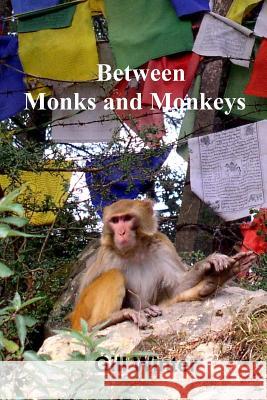 Between Monks and Monkeys Gill Winter 9781500737351 Createspace - książka