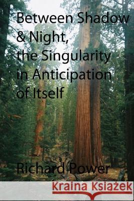 Between Shadow and Night, The Singularity in Anticipation of Itself Power, Richard 9781453744840 Createspace - książka