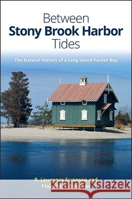 Between Stony Brook Harbor Tides: The Natural History of a Long Island Pocket Bay R. Lawrence Swanson Malcolm J. Bowman 9781438462349 Excelsior Editions/State University of New Yo - książka