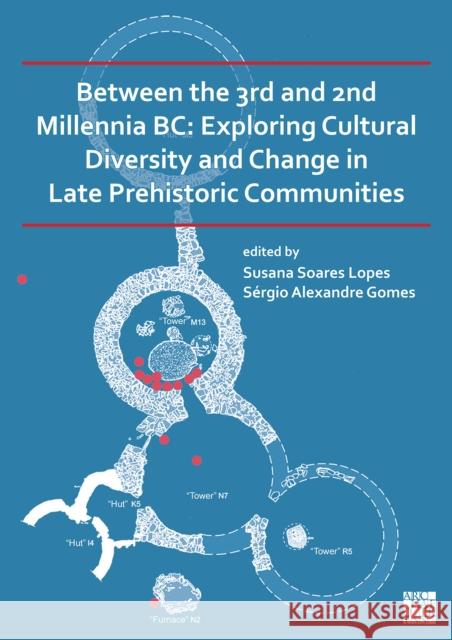 Between the 3rd and 2nd Millennia BC: Exploring Cultural Diversity and Change in Late Prehistoric Communities Susana Soares Lopes Sergio Alexandre Gomes  9781789699227 Archaeopress - książka