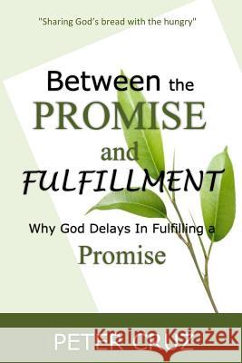 Between the Promise and Fulfillment: Why God Delays in Fullfilling a Promise P. Cruz 9781491004227 Createspace - książka