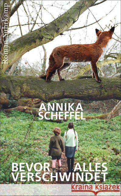 Bevor alles verschwindet : Roman. Ausgezeichnet mit dem Phantastik-Preis der Stadt Wetzlar 2013 Scheffel, Annika 9783518466773 Suhrkamp - książka