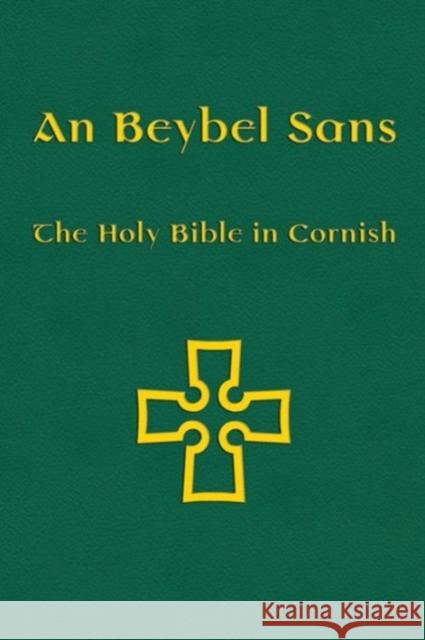 Beybel Sans-FL Williams, Nicholas 9781904808701 Evertype - książka