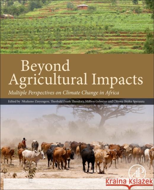 Beyond Agricultural Impacts: Multiple Perspectives on Climate Change and Agriculture in Africa Nkulumo Zinyengere Theobald Frank Theodory Million Gebreyes 9780128126240 Academic Press - książka