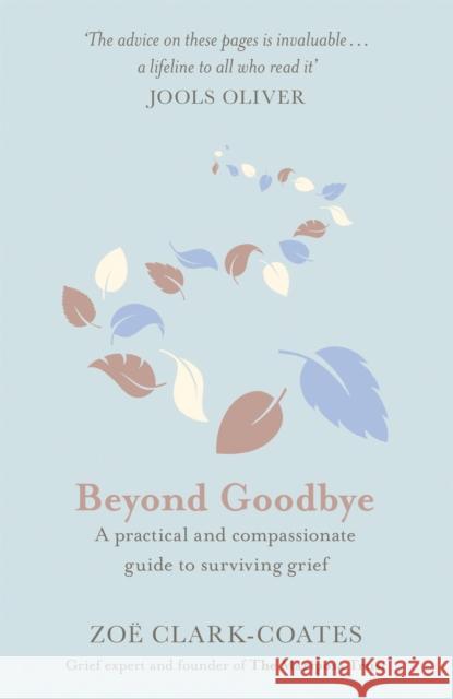 Beyond Goodbye: A practical and compassionate guide to surviving grief, with day-by-day resources to navigate a path through loss Zoe Clark-Coates 9781409185406 Orion Publishing Co - książka