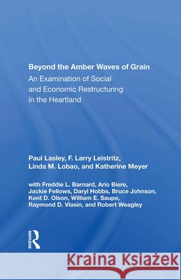 Beyond the Amber Waves of Grain: An Examination of Social and Economic Restructuring in the Heartland Paul Lasley F. Larry Leistritz Linda M. Lobao 9780367016784 Routledge - książka