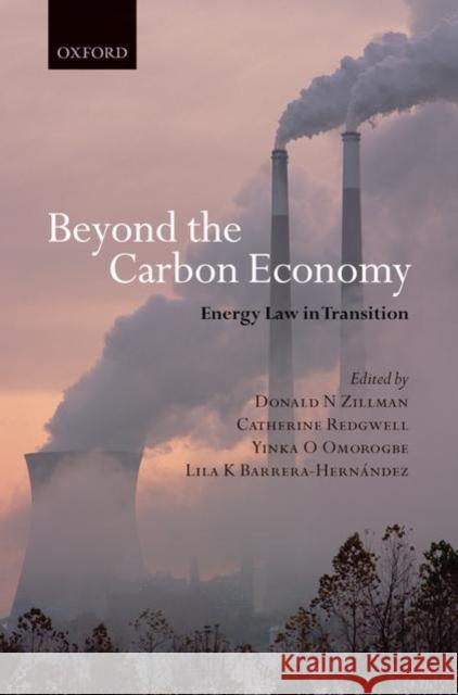 Beyond the Carbon Economy Redgwell, Catherine 9780199532698 Oxford University Press, USA - książka