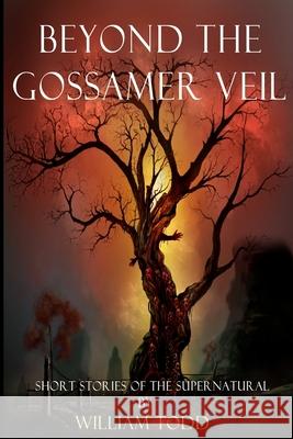 Beyond the Gossamer Veil: Short Stories of the Supernatural William Todd 9781979994392 Createspace Independent Publishing Platform - książka