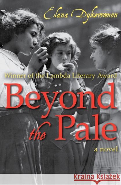 Beyond the Pale Elana Dykewomon 9781504052917 Open Road Media - książka