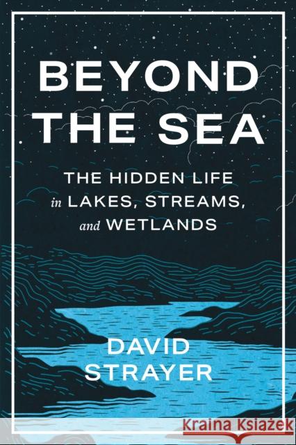 Beyond the Sea: The Hidden Life in Lakes, Streams, and Wetlands David Strayer 9781421450070 Johns Hopkins University Press - książka