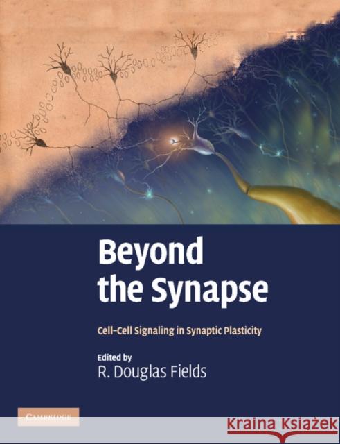 Beyond the Synapse: Cell-Cell Signaling in Synaptic Plasticity Fields, R. Douglas 9781107411562 Cambridge University Press - książka