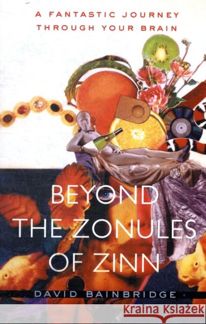 Beyond the Zonules of Zinn: A Fantastic Journey Through Your Brain Bainbridge, David 9780674034587  - książka