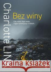 Bez winy Charlotte Link 9788368541571 Sonia Draga - książka