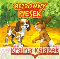 Bezdomny piesek JAFI Campbell Katarzyna 9788363502072 Jafi - książka