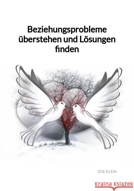 Beziehungsprobleme überstehen und Lösungen finden Klein, Zoe 9783347975606 Jaltas Books - książka