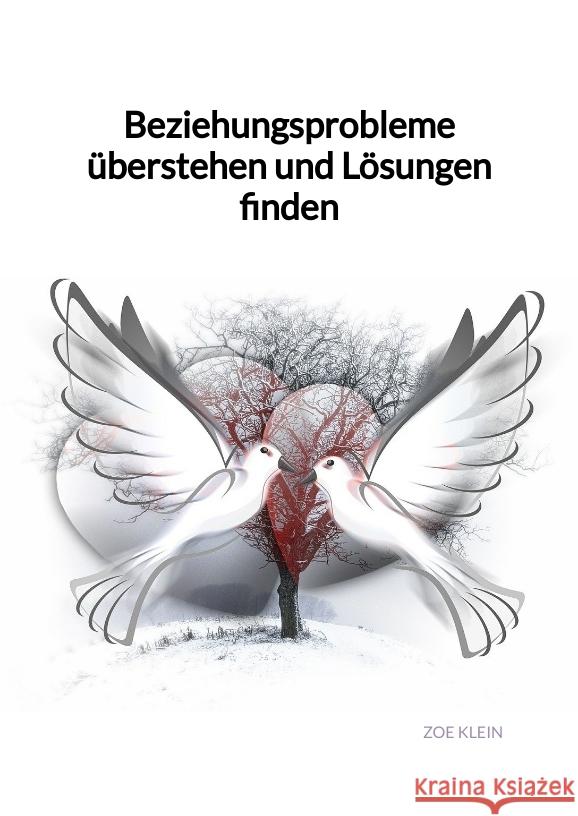 Beziehungsprobleme überstehen und Lösungen finden Klein, Zoe 9783347975613 Jaltas Books - książka