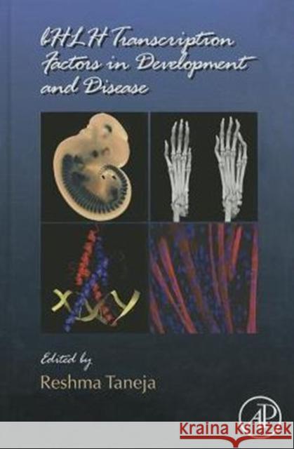 Bhlh Transcription Factors in Development and Disease: Volume 110 Taneja, Reshma 9780124059436 Academic Press - książka