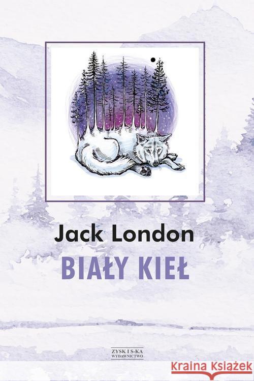 Biały Kieł London Jack 9788381162142 Zysk i S-ka - książka