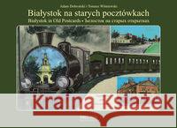 Białystok na starych pocztówkach Dobroński Adam Czesław Wiśniewski Tomasz 9788361253259 Księży Młyn - książka