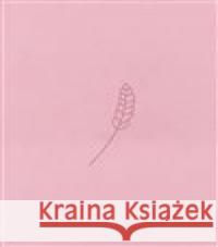 Bible21 - kapesní  9788088642329 Biblion - książka