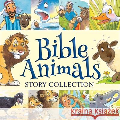 Bible Animals Story Collection Juliet David Steve Smallman 9781781282861 Candle Books - książka