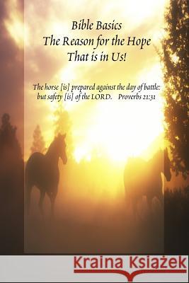 Bible Basics - the Reason for the Hope That is in Us! Dawn Hagedorn 9781329016873 Lulu.com - książka