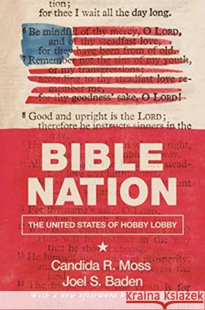 Bible Nation: The United States of Hobby Lobby Candida R. Moss Joel S. Baden 9780691191706 Princeton University Press - książka