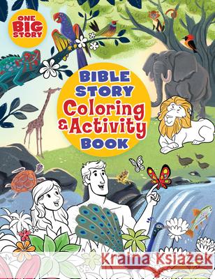 Bible Story Coloring and Activity Book B&h Kids Editorial 9781462745166 B&H Publishing Group - książka