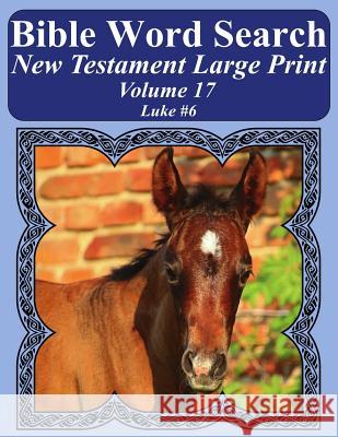 Bible Word Search New Testament Large Print Volume 17: Luke #6 T. W. Pope 9781977982780 Createspace Independent Publishing Platform - książka