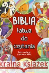 Biblia łatwa do czytania Jacob Vium-Olesen 9788381014076 Wydawnictwo Diecezjalne i Drukarnia w Sandomi - książka