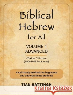 Biblical Hebrew for All: Volume 4 (Advanced) - Second Edition Tian Hattingh, Prof J C John Lübbe 9781907313684 Christiaan Hattingh - książka