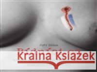 Bídníci.cz Jiří Zídek 9788087973097 No Limits - książka