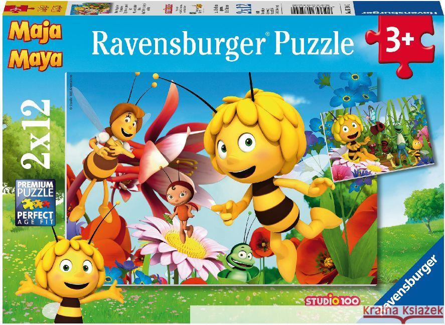 Biene Maja auf der Blumenwiese (Kinderpuzzle) Bonsels, Waldemar 4005556075942 Studio 1 - książka