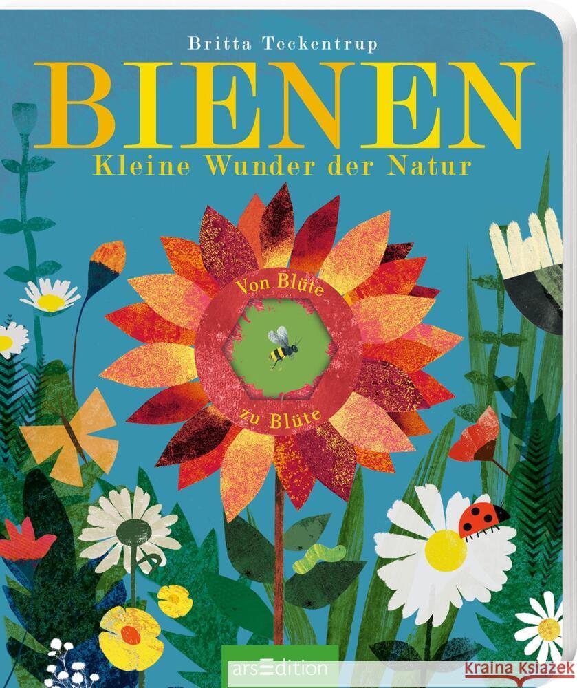 Bienen Teckentrup, Britta 9783845846767 ars edition - książka