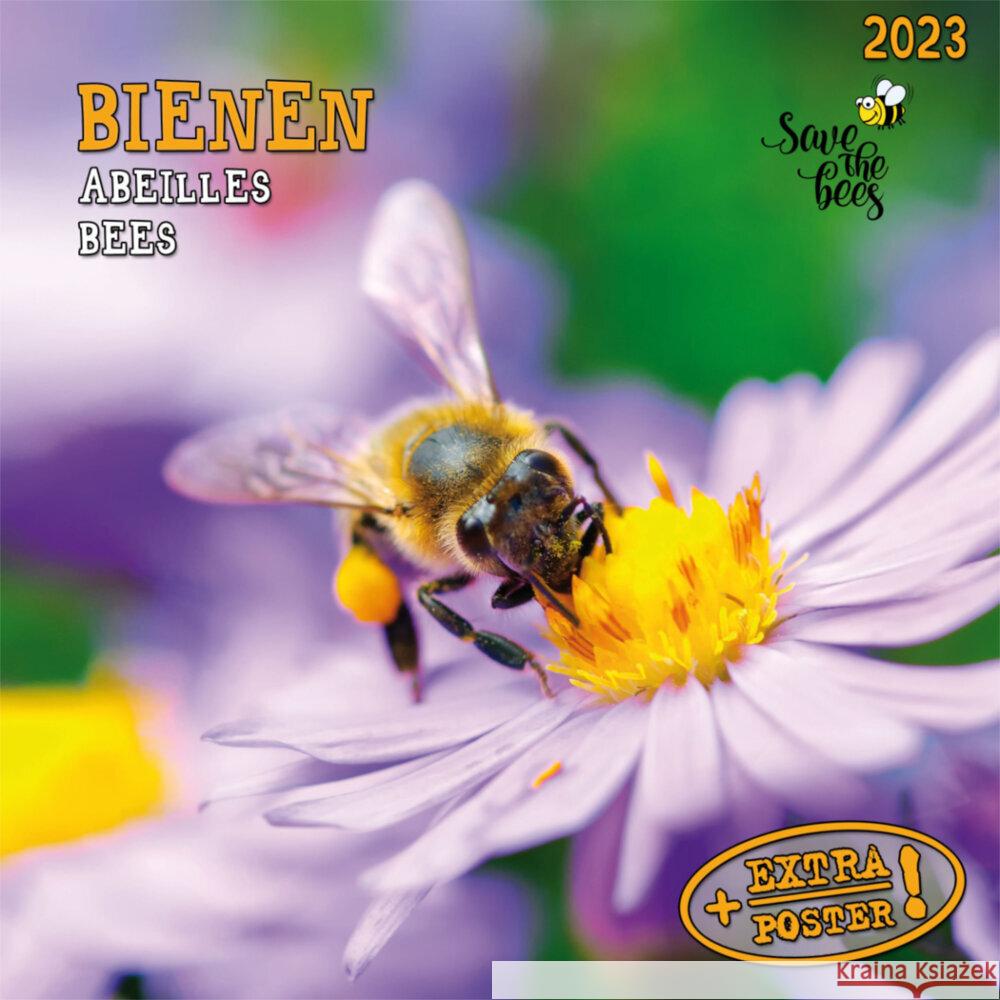 Bienen 2023  9783959291408 Tushita - książka