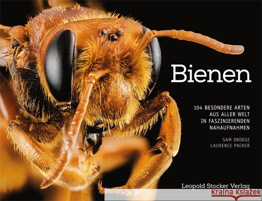 Bienen : 104 besondere Arten aus aller Welt in faszinierenden Nahaufnahmen Droege, Sam; Packer, Laurence 9783702015893 Stocker - książka