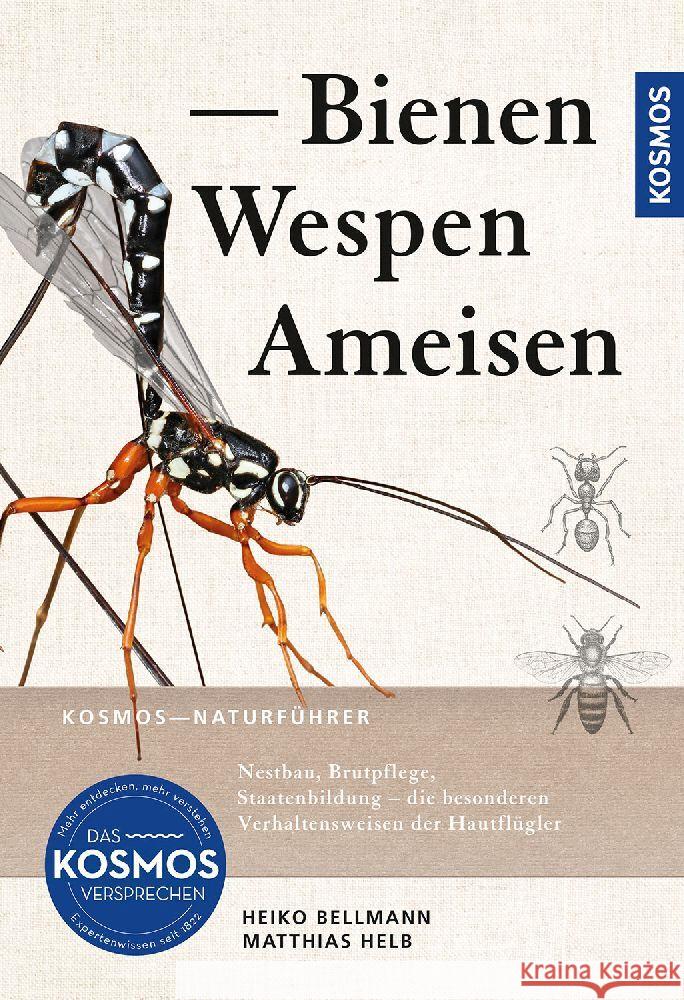 Bienen, Wespen, Ameisen Bellmann, Heiko, Helb, Matthias 9783440179826 Kosmos (Franckh-Kosmos) - książka