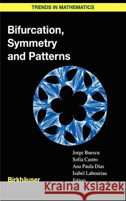 Bifurcation, Symmetry and Patterns Jorge Buescu Sofia Castro Ana Paula Dias 9783764370206 Birkhauser - książka