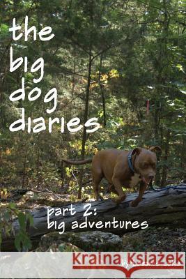 Big Adventures: The Big Dog Diaries Lazarus Lake Betsy Julian 9781480028166 Createspace - książka