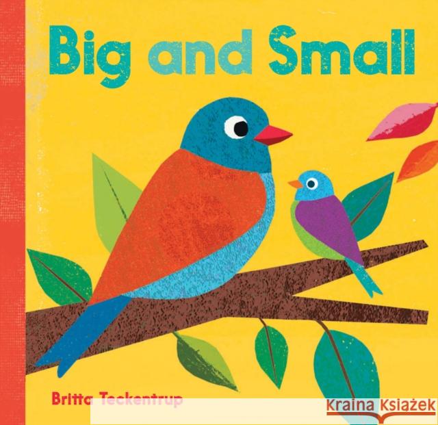 Big and Small   9781846869518 Barefoot Books Ltd - książka