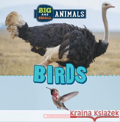 Big and Small: Birds (Wild World) Brenna Maloney 9781338853506 C. Press/F. Watts Trade - książka